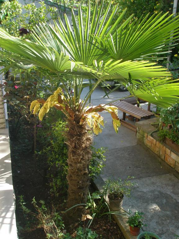 Apartment Rojnic Pula Dış mekan fotoğraf